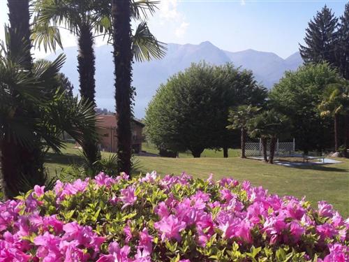 Ferielejlighed - 1 person -  - Luino - 21010