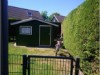 Bilde 4