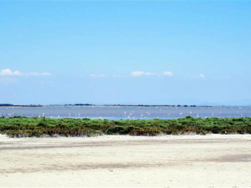 Ferienhaus - 4 Personen -  - 30240 - Port Camargue