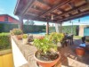 Bild 34