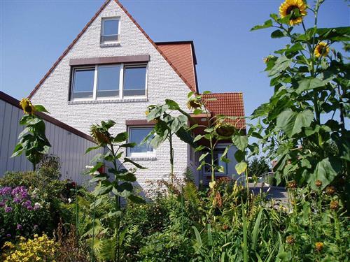 Sommerhus - 4 personer -  - Pommernstraße - 23683 - Scharbeutz