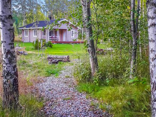 Sommerhus - 5 personer -  - Ähtäri - 63920