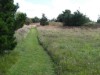 Bild 22