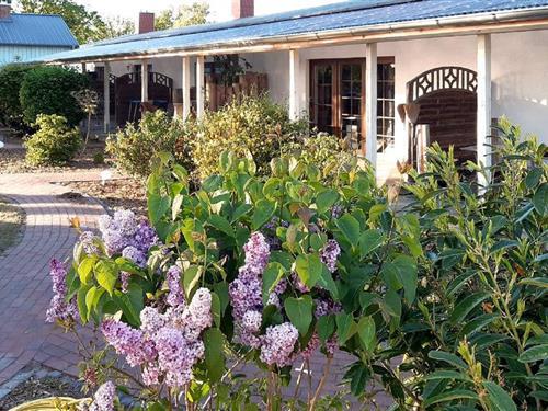 Feriehus - 2 personer -  - Hafenstr.6 / Haus 12a/ FW - 18356 - Fuhlendorf