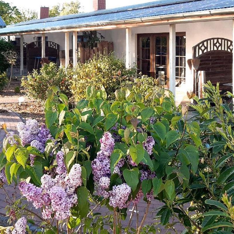 Sommerhus - 2 personer -  - Hafenstr.6 / Haus 12a/ FW - 18356 - Fuhlendorf