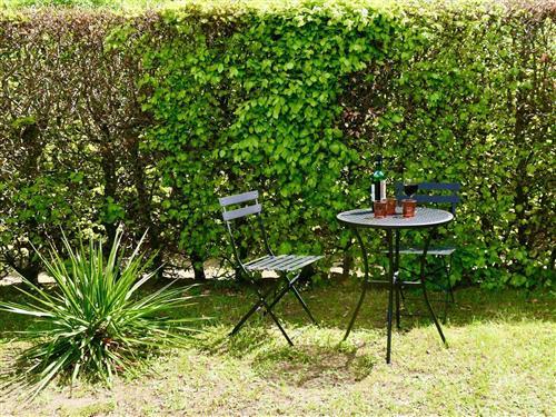 Sommerhus - 4 personer -  - Bungalowsiedlung - 17139 - Basedow