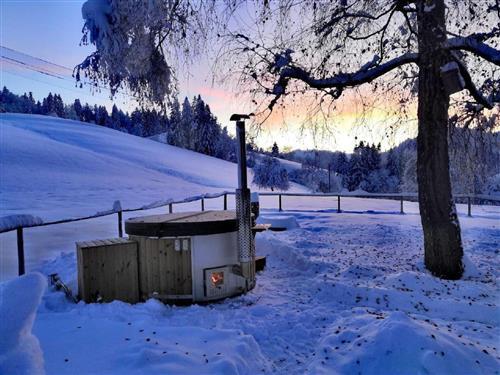 Ferieleilighet - 2 personer -  - Schwellbrunn - 9103