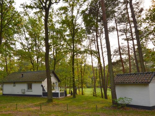 Holiday Home/Apartment - 3 persons -  - 6039RV - Stramproy