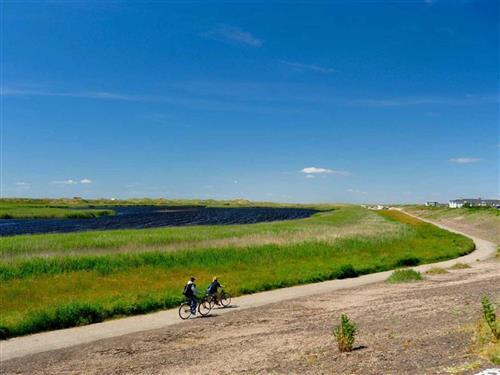 Ferielejlighed - 5 personer -  - Am Deich - 25826 - St. Peter-Ording