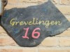 Bilde 23