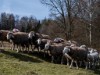 Bild 22
