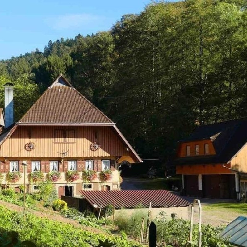 Ferielejlighed - 6 personer -  - Holdersbach - 77784 - Oberharmersbach