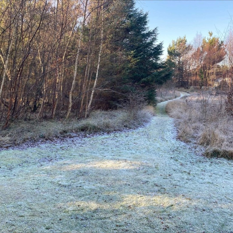 Ferienhaus - 8 Personen -  - Vej 14 - Vig Lyng - 4560 - Vig
