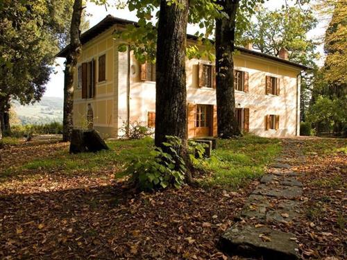 Sommerhus - 14 personer -  - Pratovecchio - 52015