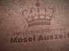 Bild 41