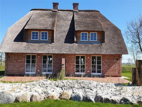 Ferienhaus - 4 Personen -  - Westmarken - 25826 - St. Peter-Ording