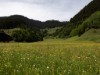 Image 4 - Outside