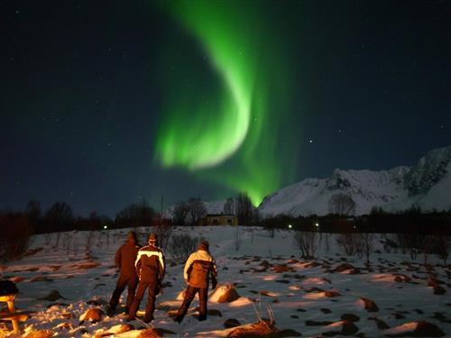 Feriehus / leilighet - 9 personer -  - Ørstrandveien 200, Lenangsøyra - Lyngen - 9064 - Svensby