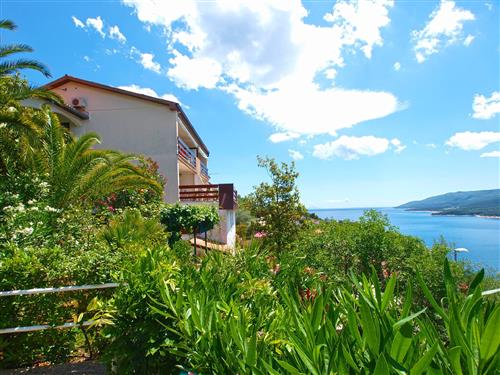 Holiday Home/Apartment - 4 persons -  - Jadranska - 52221 - Rabac