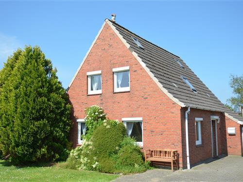 Semesterhus/Semesterlägenhet - 4 personer -  - Ringstraße - 25718 - Friedrichskoog - Nordsee