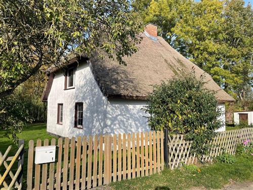 Ferieleilighet - 5 personer -  - Möhlend - 18569 - Ummanz