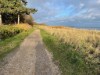 Bild 31 - Ude