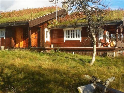 Sommerhus - 8 personer -  - Langtjednhaugen - Spåtind - 2890 - Etnedal