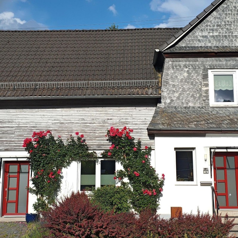 Ferielejlighed - 3 personer -  - Hauptstraße - 57629 - Luckenbach