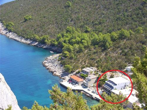  - 4 persons -  - Ulica Bristova 12, Uvala Bristova - 21468 - Bogomolje