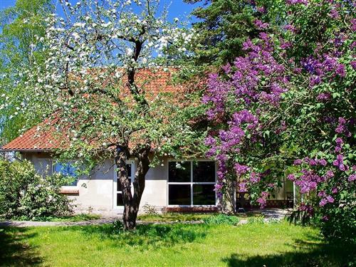 Sommerhus - 8 personer -  - Neuhäuser - 17139 - Basedow
