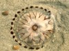 Bild 23