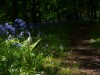 Bild 63 - Aussen