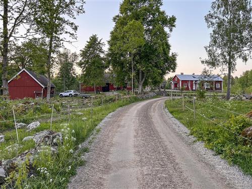 Semesterhus/Semesterlägenhet - 6 personer -  - Fogdakärrsvägen - Ronneby/Backaryd - 372 96 - Backaryd