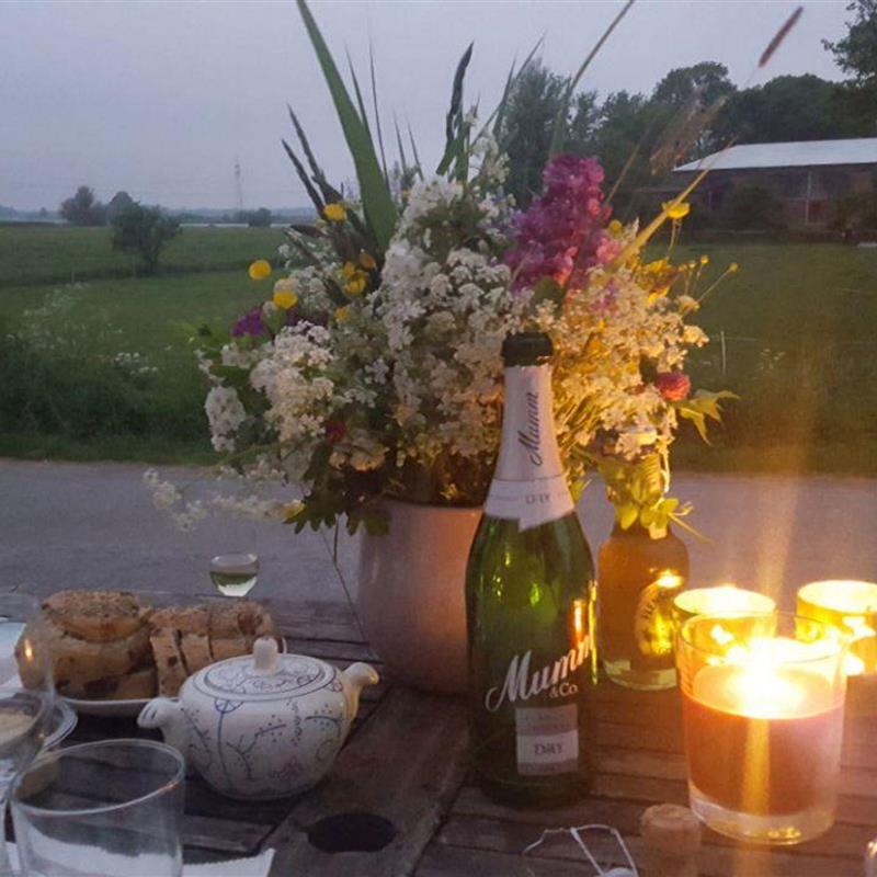 Sommerhus - 4 personer -  - Ziegelhof - 25840 - Friedrichstadt