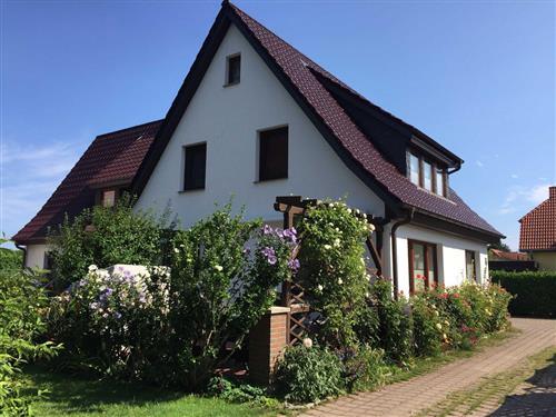 Ferieleilighet - 2 personer -  - Hafenstraße 33 b - 18375 - Prerow