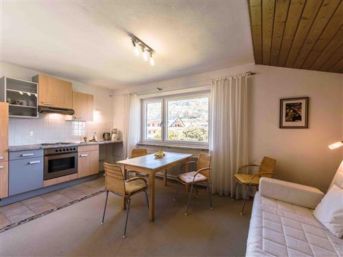 Ferielejlighed - 2 personer -  - Schiefersteinweg - 8970 - Schladming