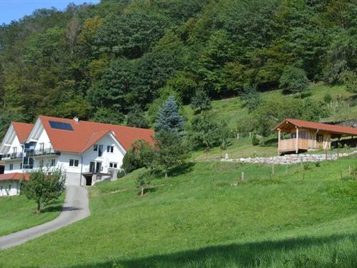 Sommerhus - 4 personer -  - 77728 - Oppenau