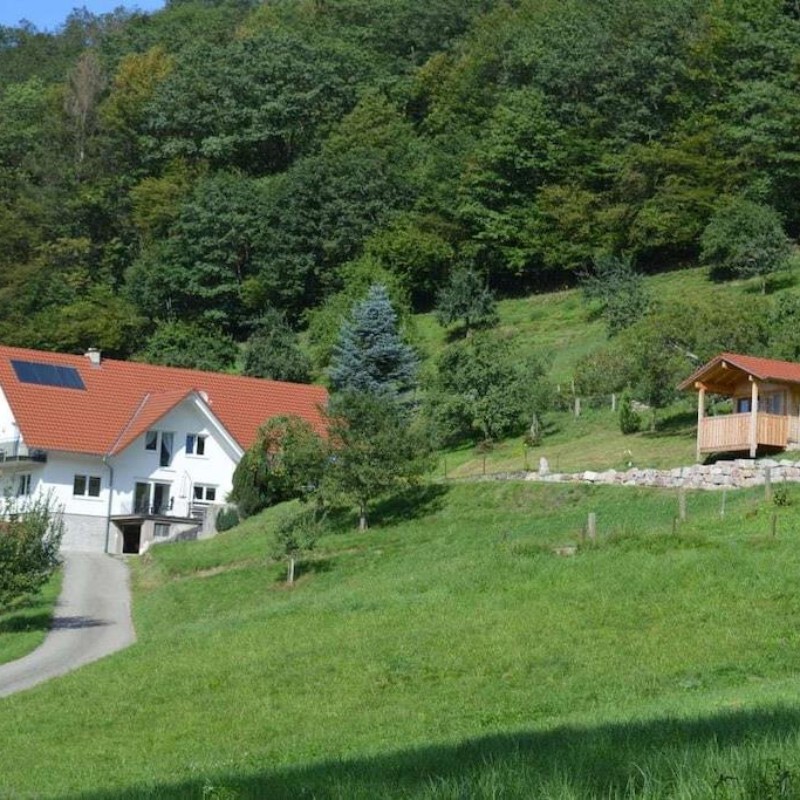 Sommerhus - 4 personer -  - 77728 - Oppenau