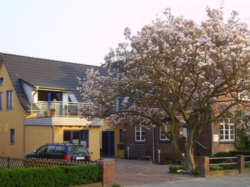 Ferielejlighed - 4 personer -  - Fritz-Reuter-Straße - 24159 - Kiel