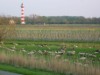 Bild 23