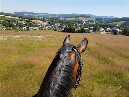 Ferienwohnung - 5 Personen -  - Adolf-Kolping-Str. - 02681 - Schirgiswalde-Kirschau -
