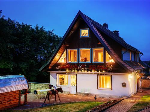 Holiday Home/Apartment - 12 persons -  - Am Kurpark - 38700 - Braunlage