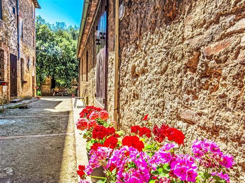 Ferieleilighet - 6 personer -  - Sovicille - 53018