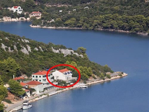 Holiday apartment - 2 persons -  - Put Lenge 34, Pasadur - 20290 - Lastovo