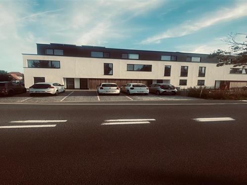 Feriehus - 7 personer -  - 8660 - De Panne