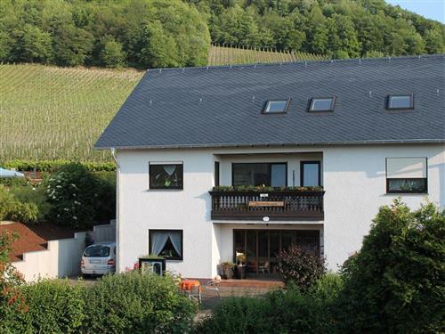 Sommerhus - 6 personer -  - Akazieneck - 54470 - Bernkastel-Kues