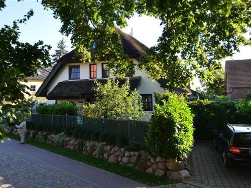 Holiday Home/Apartment - 8 persons -  - Boddenstraße - 18586 - Groß Zicker