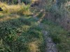 Billede 16