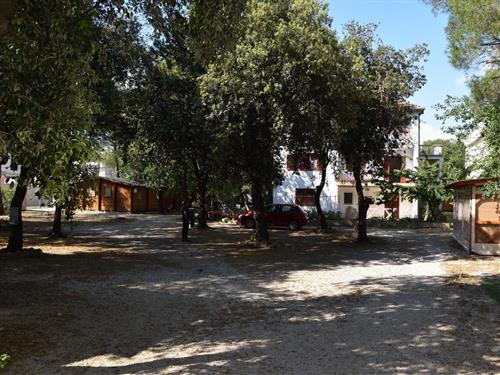 Holiday apartment - 5 persons -  - Brune Bušica - 23211 - Pakostane