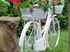 Bild 22